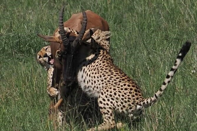 Nairobi Park Wildlife Safari - Walking trails and the limits of a short safari