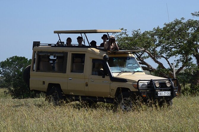 Nairobi Park Wildlife Safari - The 6:00 am pickup and the value of an early start
