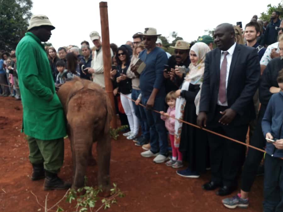 Nairobi: Private Elephant Orphanage Tour - Why the Sheldrick Trust visit matters