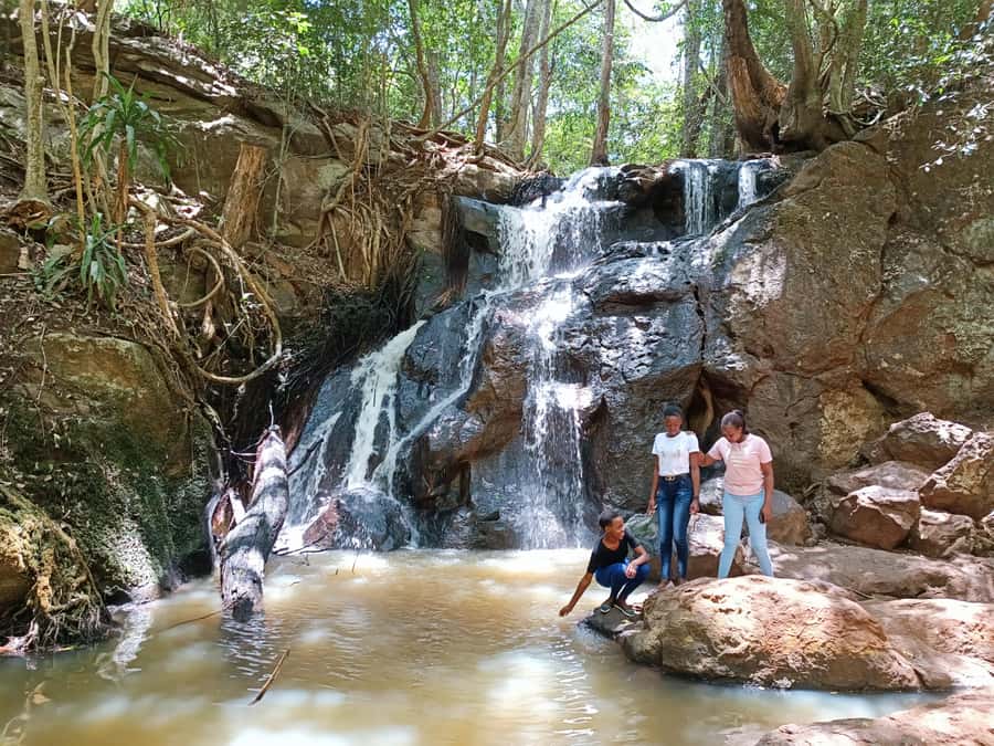 Nairobi: Private Tour with a Local Guide - Green space at Nairobi Arboretum