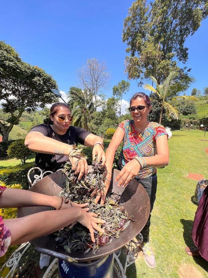 Nairobi: Purple Tea Farm Gatura Greens Day Trip - Making your own tea blend by hand