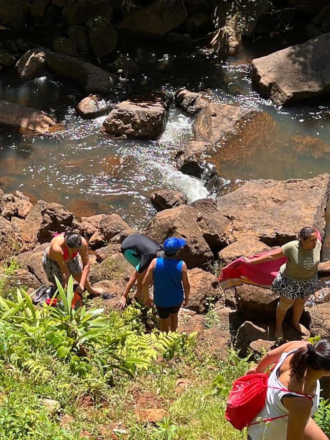 Nairobi: Purple Tea Farm Gatura Greens Day Trip - A bamboo forest walk to the waterfall