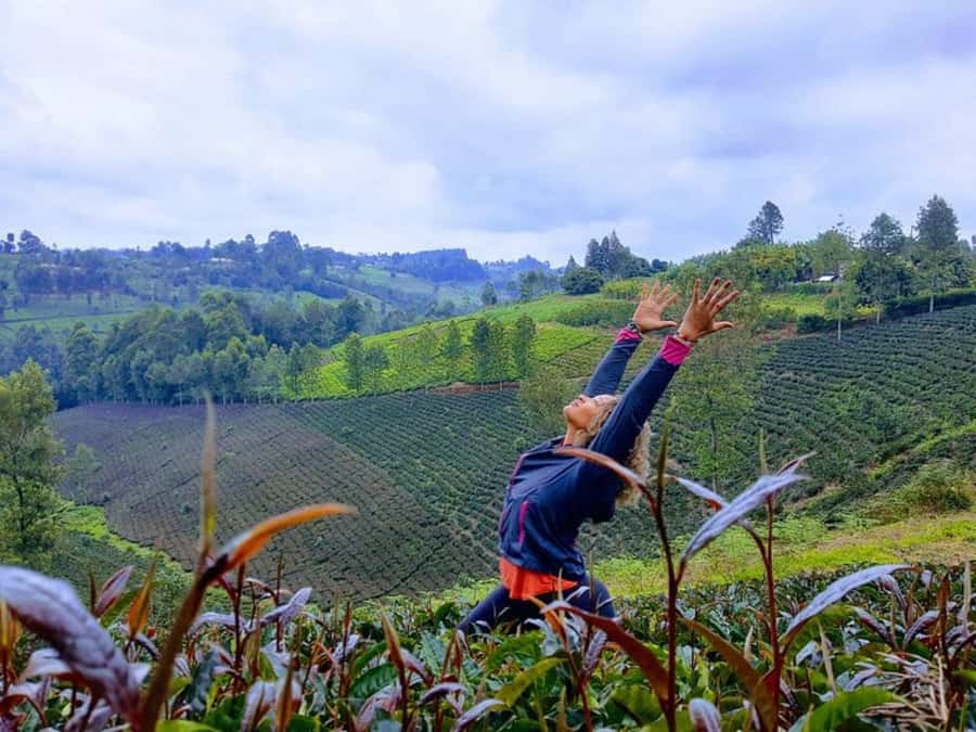 Nairobi: Purple Tea Farm Gatura Greens Day Trip - A farm lunch with tea in the menu
