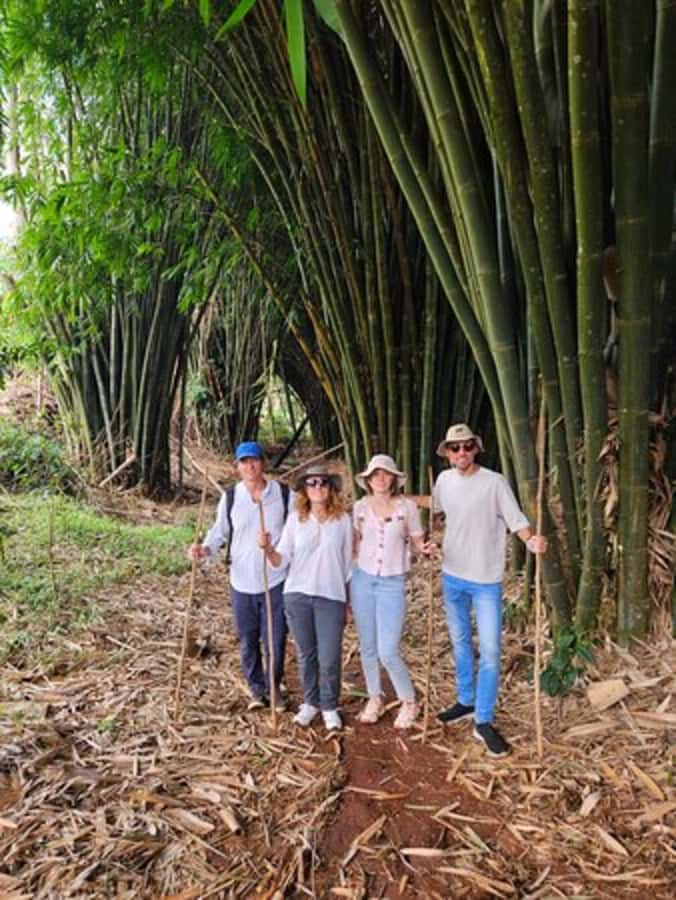 Nairobi: Purple Tea Farm Gatura Greens Day Trip - Who will enjoy this day most
