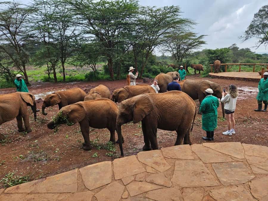 Nairobi’s Best:Elephants,Giraffes Center & Karen Blixen Tour - Is the Giraffe Centre part of the visit?