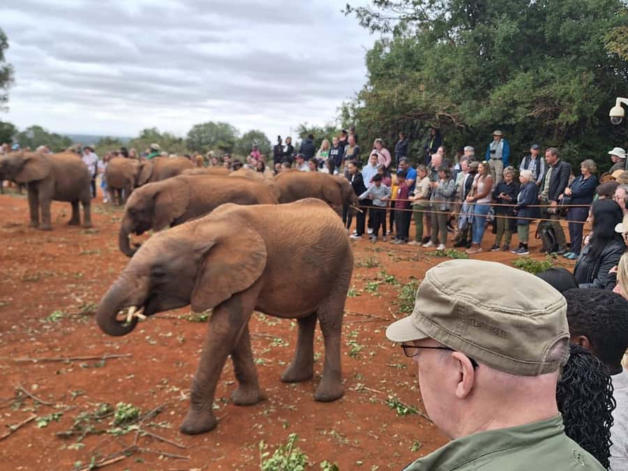 Nairobi Safari:National Park, Elephants &Giraffes GuidedTour - An early start for Nairobi National Park