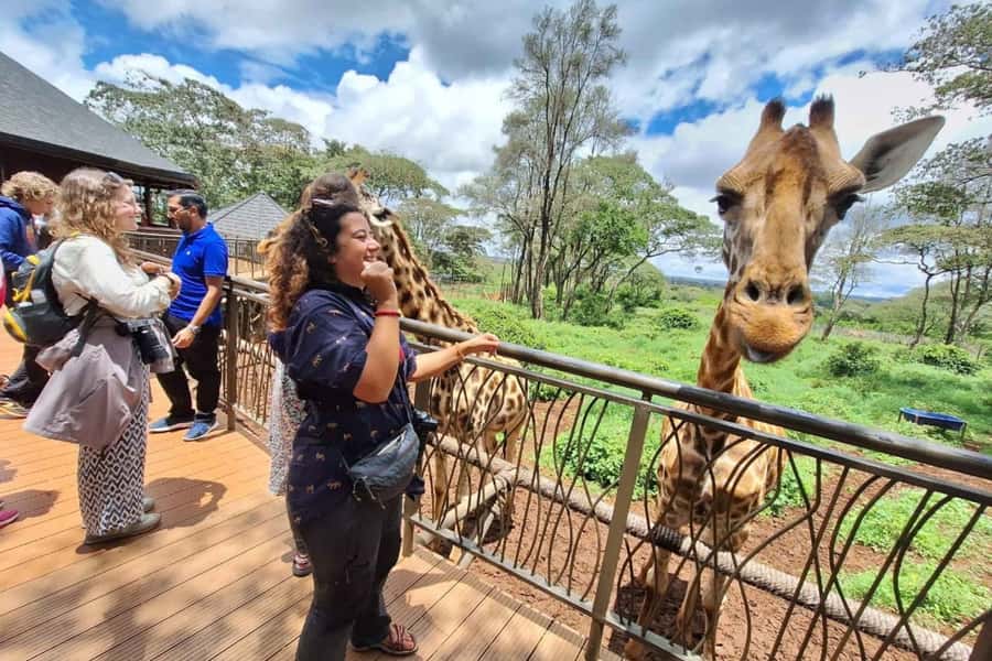 Nairobi: Sheldrick Elephant Orphanage and Giraffe Center - Who will enjoy this tour most