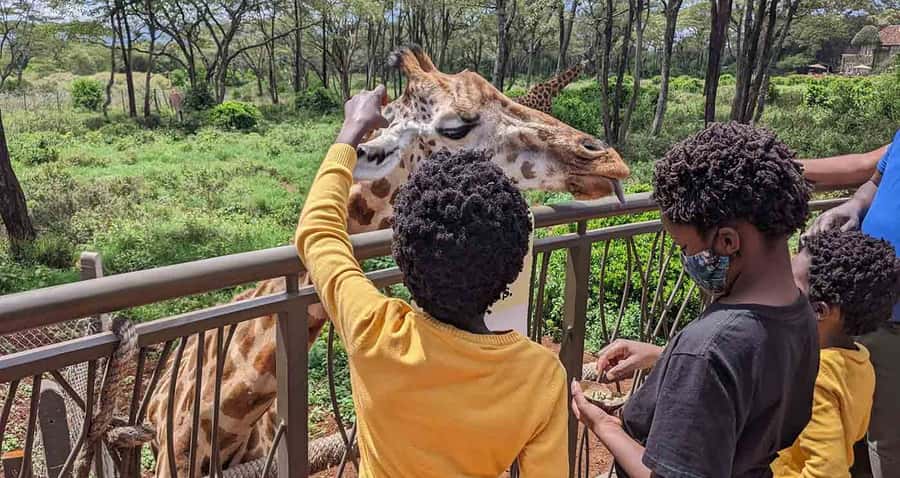 Nairobi: Sheldrick Elephant Orphanage and Giraffe Center - The morning pickup and ride through Nairobi