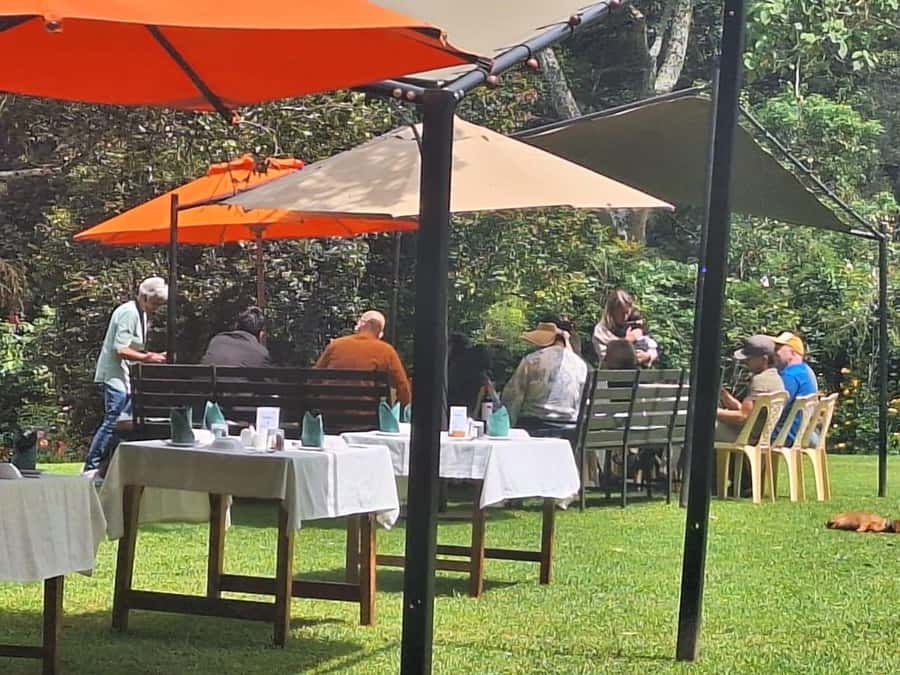 Nairobi: Tea Farm Day Trip with Lunch at kiambethu - Making orthodox tea by hand