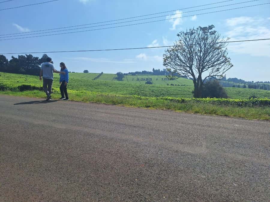 Nairobi: Tea Farm Day Trip with Lunch at kiambethu - The indigenous forest and local waterfall