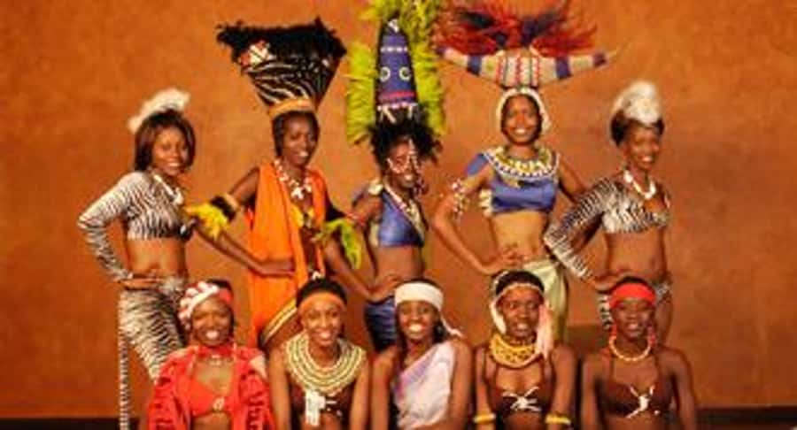 Nairobi: The Safari Cats Show Tickets & Buffet Dinner - A Nairobi evening built around food and dance