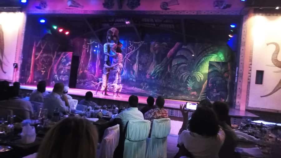 Nairobi: The Safari Cats Show Tickets & Buffet Dinner - The 9 pm Safari Cats performance