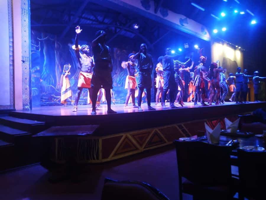 Nairobi: The Safari Cats Show Tickets & Buffet Dinner - How to fit it into a Nairobi itinerary