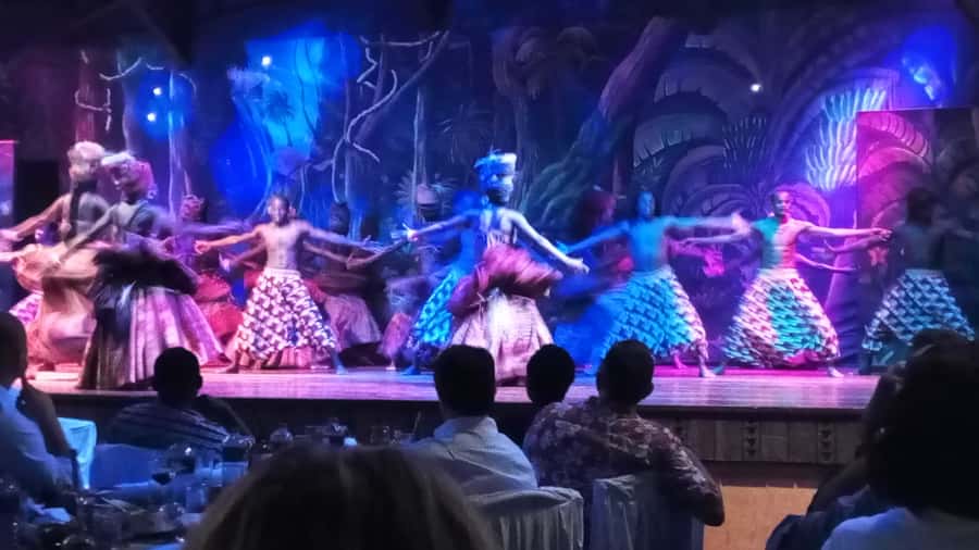 Nairobi: The Safari Cats Show Tickets & Buffet Dinner - The 6:30 pm pickup and Nairobi traffic