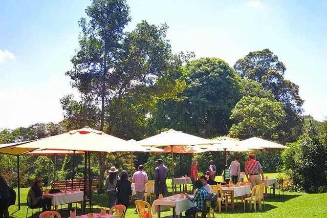 Nairobi to Kiambethu Tea Farm Tour - Leaving Nairobi for Kiambethu Farm