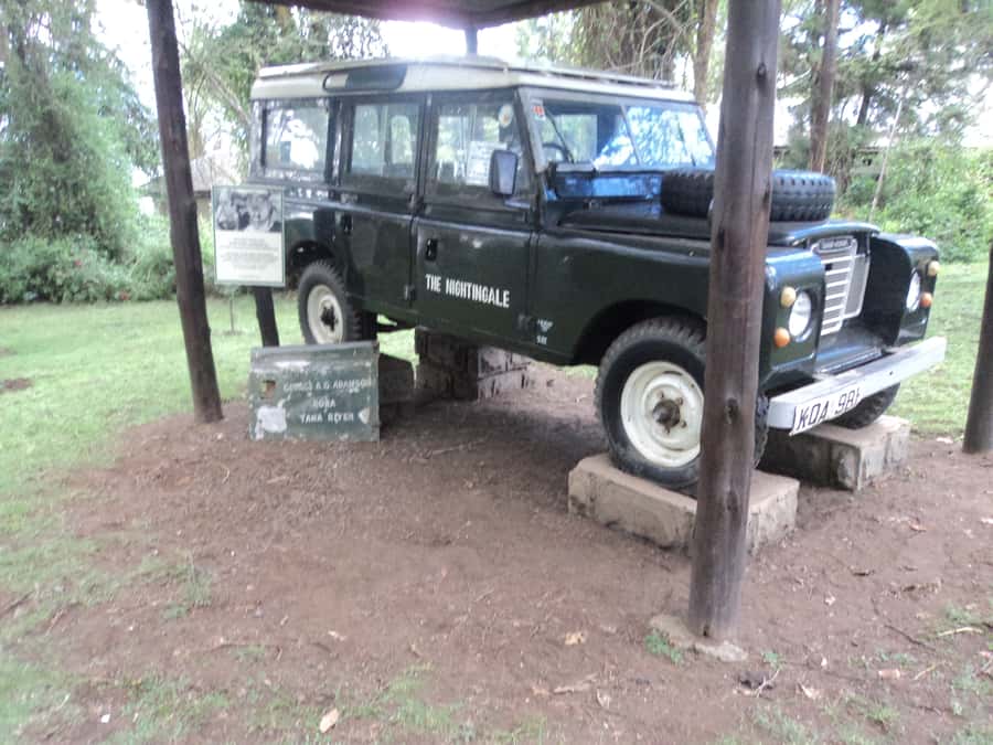 Nairobi to Lake Naivasha Day Tour with Crescent Island - What the day feels like in practice