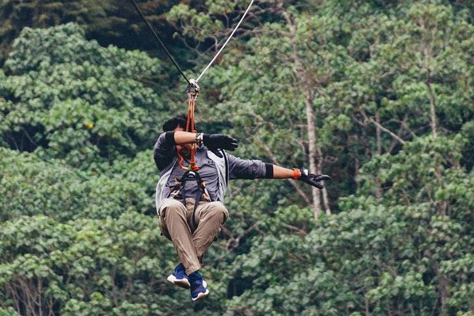 Nairobi Zip Lining Adventure Experience - Safety, gear, and the forest setting