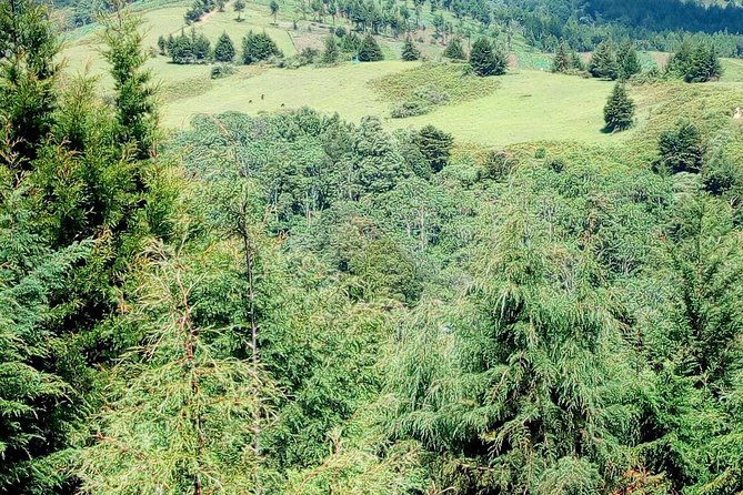 Nairobi Zip Lining Adventure Experience - A private tour with a personal guide