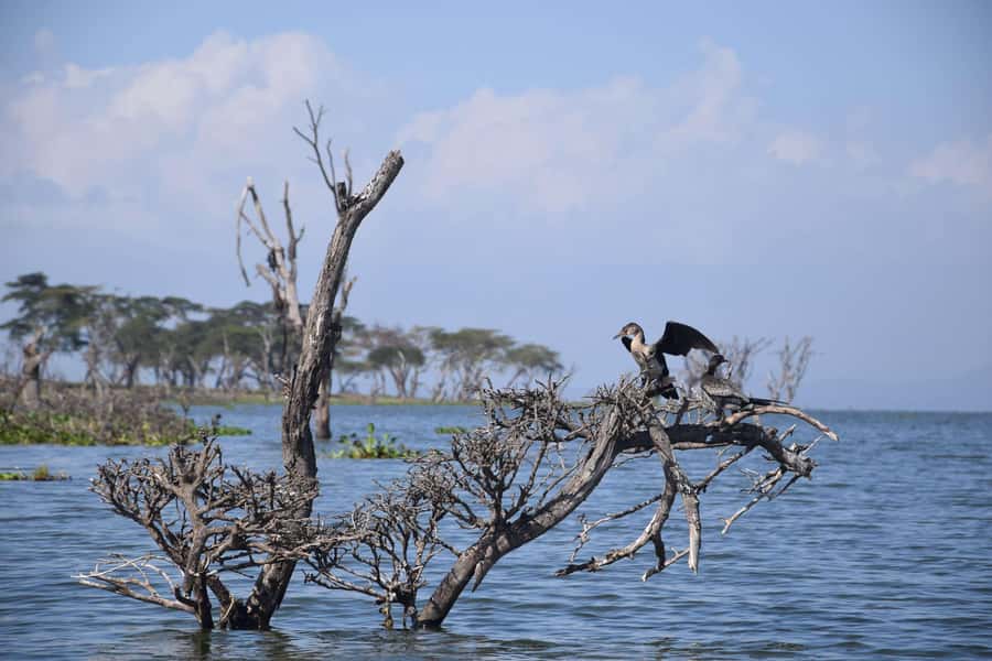 Naivasha Crescent Island Walking Safari & Hell's Gate Biking - Cycling through Hell’s Gate National Park