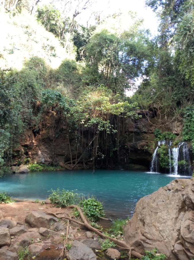 Nanyuki : Ngare Ndare Day Trip - Ngare Ndare at a glance