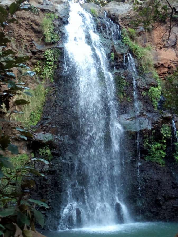 Nanyuki : Ngare Ndare Day Trip - Why Ngare Ndare makes a good day out