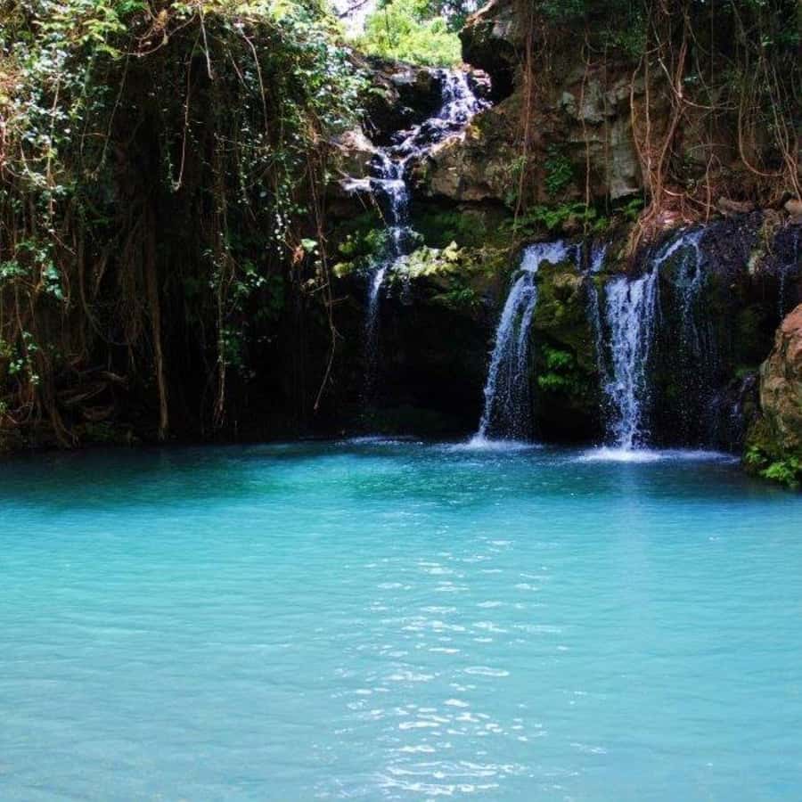 Nanyuki : Ngare Ndare Day Trip - Scenic stops before the forest