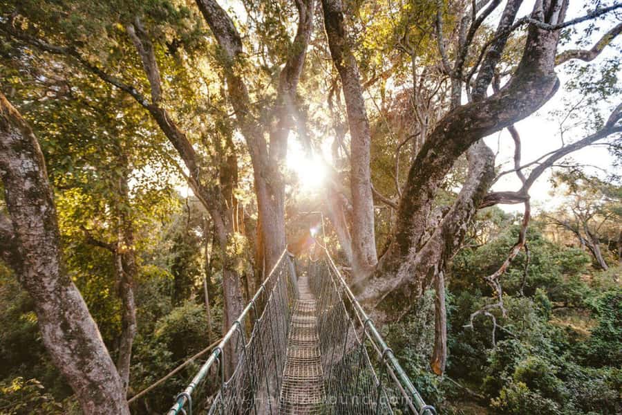 Nanyuki : Ngare Ndare Day Trip - The four-hour transfer from Nairobi