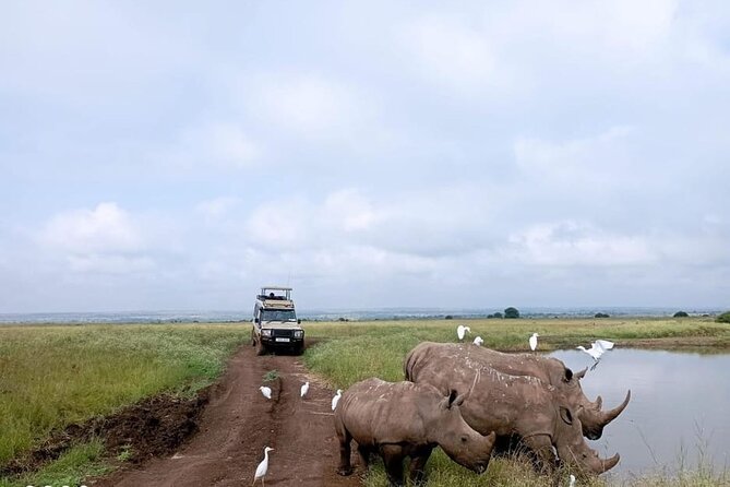 National Park Half-Day Group Tour in Nairobi with Pickup - Why Nairobi National Park works for a short safari