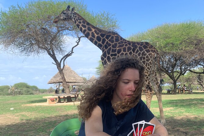 Nature Walk with Giraffes in Mombasa - Key points at a glance