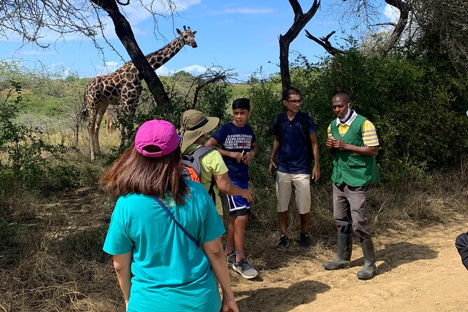 Nature Walk with Giraffes in Mombasa - A flexible pace, with time to sit and look around