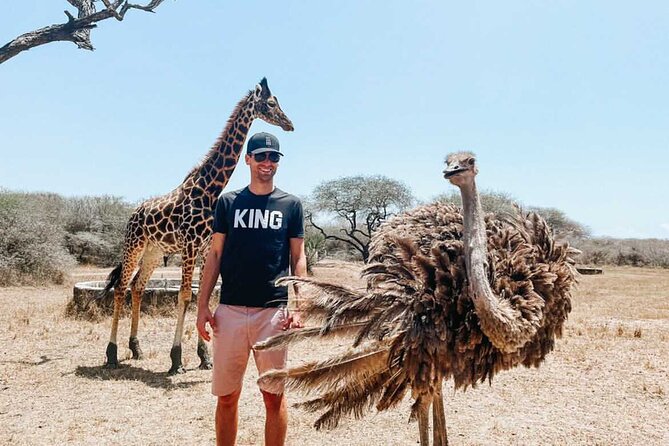Nature Walk with Giraffes in Mombasa - Walking beside giraffes without a fence