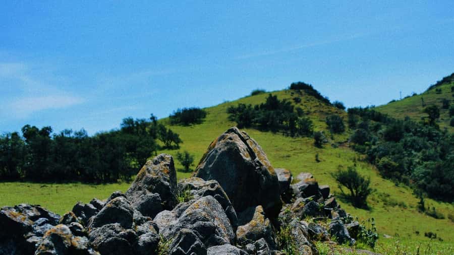 Ngong Hills: Private Hiking Tour - Three Hours on the Ngong Hills Trails