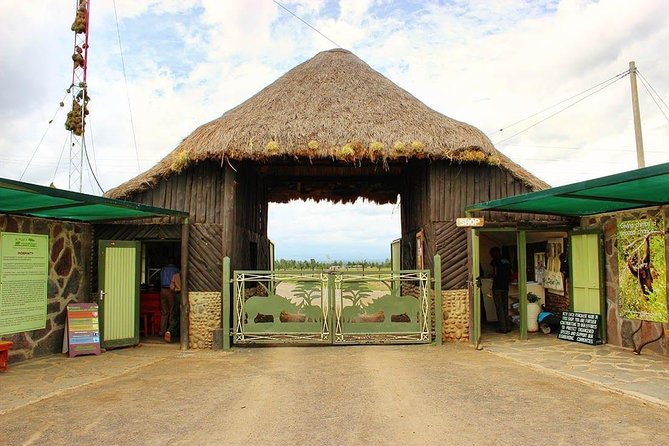 Ol Pejeta Conservancy Day Tour from Nairobi - Morning game drive on Ol Pejeta’s northern side