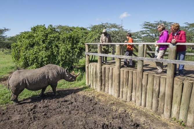 Ol Pejeta Conservancy Day Tour from Nairobi - Is $380 a fair price?