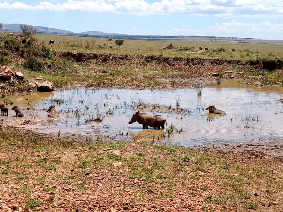 Ol Pejeta Conservancy Full Day Tour From Nairobi - Who will enjoy this tour most