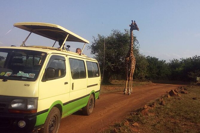 One Night (Mid-range) Amboseli National Park Safari - Why a two-day Amboseli safari works