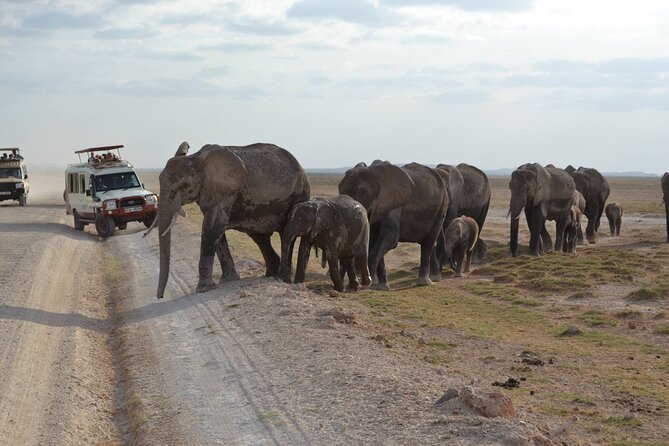 Overnight Amboseli National Park Safari - Key points at a glance