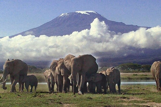 Overnight Amboseli National Park Safari - The $525 value, measured honestly