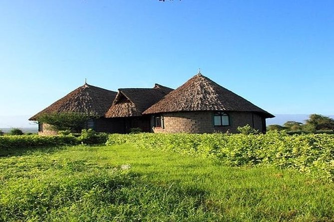Overnight Amboseli National Park Safari from Nairobi - The Six-Hour Afternoon Game Drive