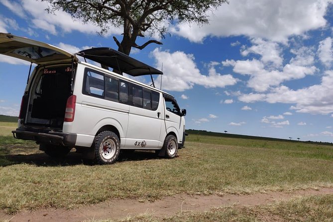 Overnight Amboseli National Park Safari from Nairobi - Guide Quality, Vehicle Concerns, and Smart Questions