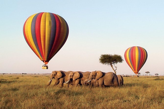Overnight Budget Camping Tour to Maasai Mara. - Why two days can work in the Maasai Mara