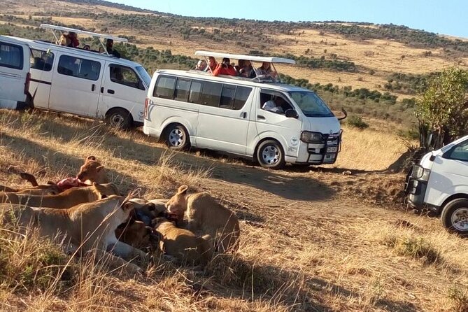 Overnight Budget Camping Tour to Maasai Mara. - The morning drive and the famous river