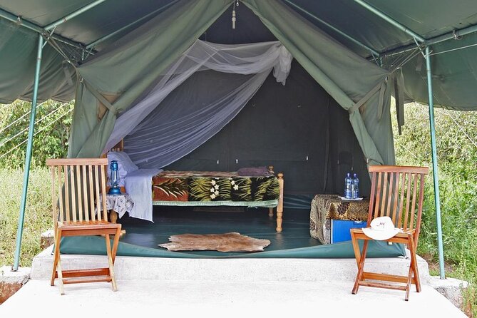 Overnight Budget Camping Tour to Maasai Mara. - What the $255.64 price really covers