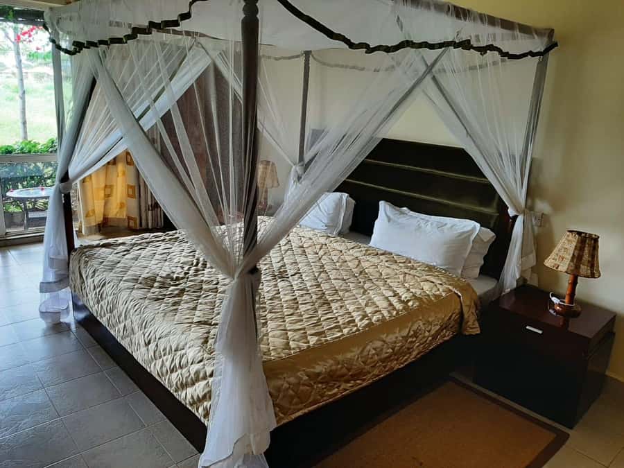 Overnight Group Joining Safari to Amboseli from Nairobi - Key points to know before booking