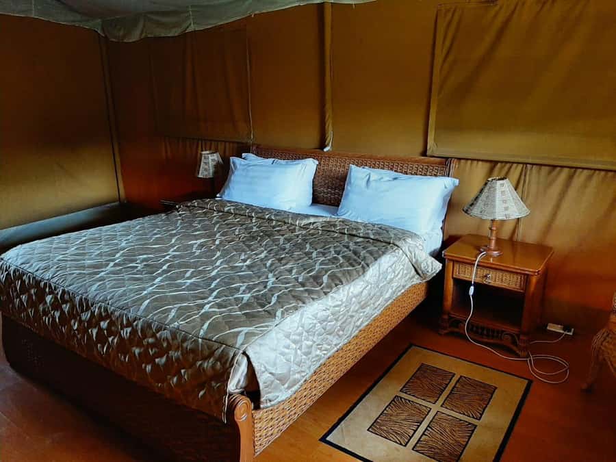 Overnight Group Joining Safari to Amboseli from Nairobi - Day one: lunch, a short rest, and Amboseli’s afternoon drive