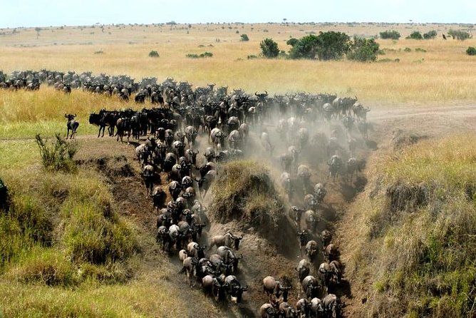 Overnight Maasai Mara Private Safari From Nairobi - Leaving Nairobi for the Great Rift Valley