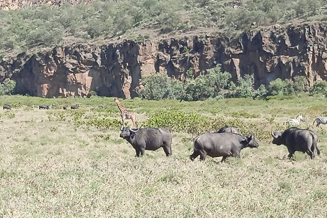 Overnight Mount Longonot and Hells Gate National Park From Nairobi - Lunch at Kifaru Restaurant and the Lake Naivasha boat ride