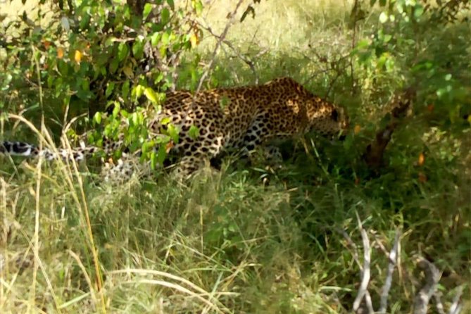 Overnight Safari To Maasai Mara - Nairobi to the Mara through the Great Rift Valley