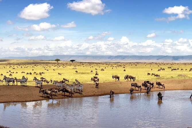 Overnight Safari To Maasai Mara - What the $230 price really covers