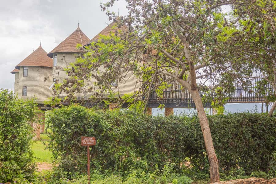 Overnight Safari to Saltlick through Tsavo East Park - What the $613 price really covers